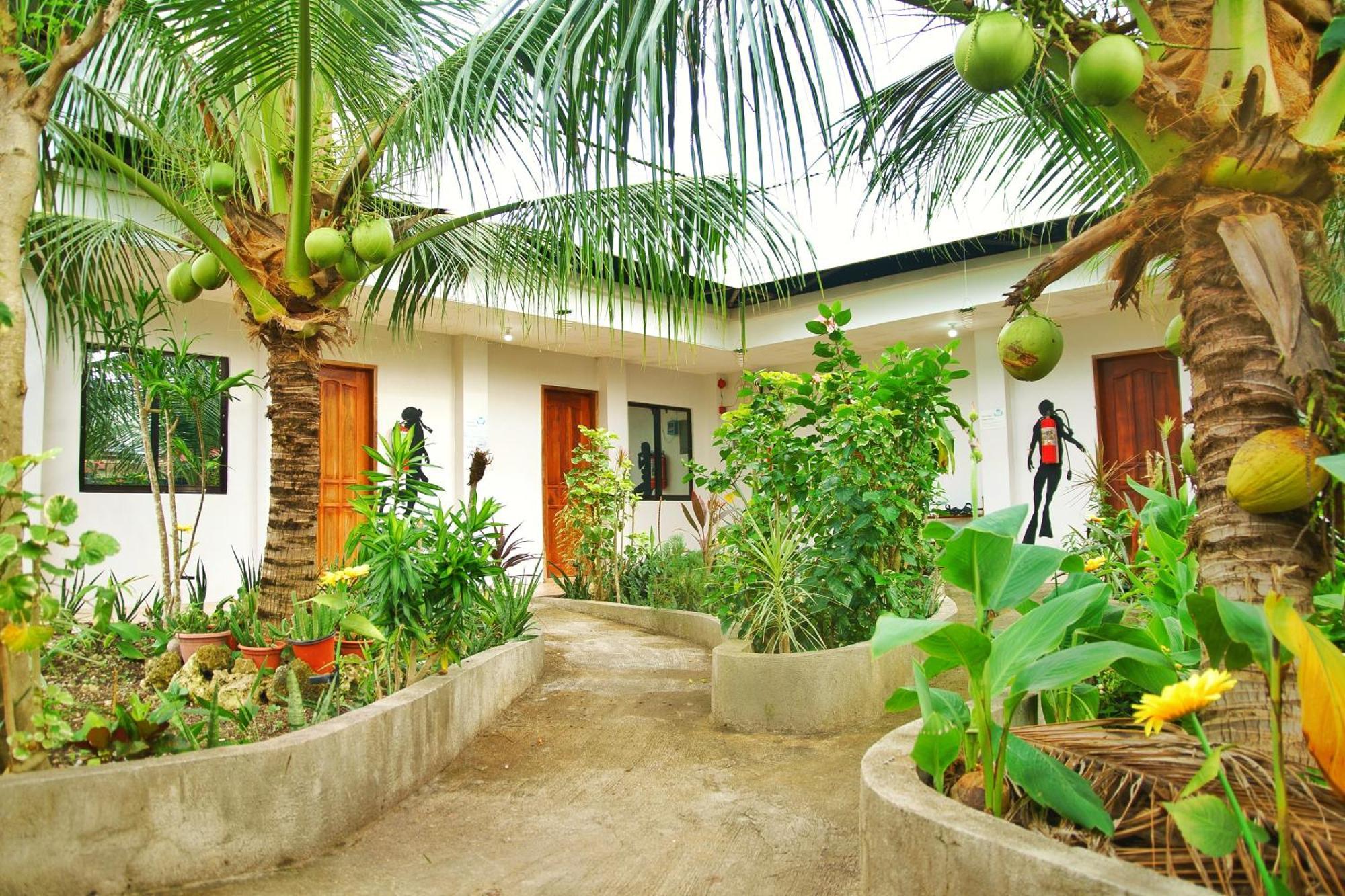 Ananas Guesthouse Moalboal Exterior photo