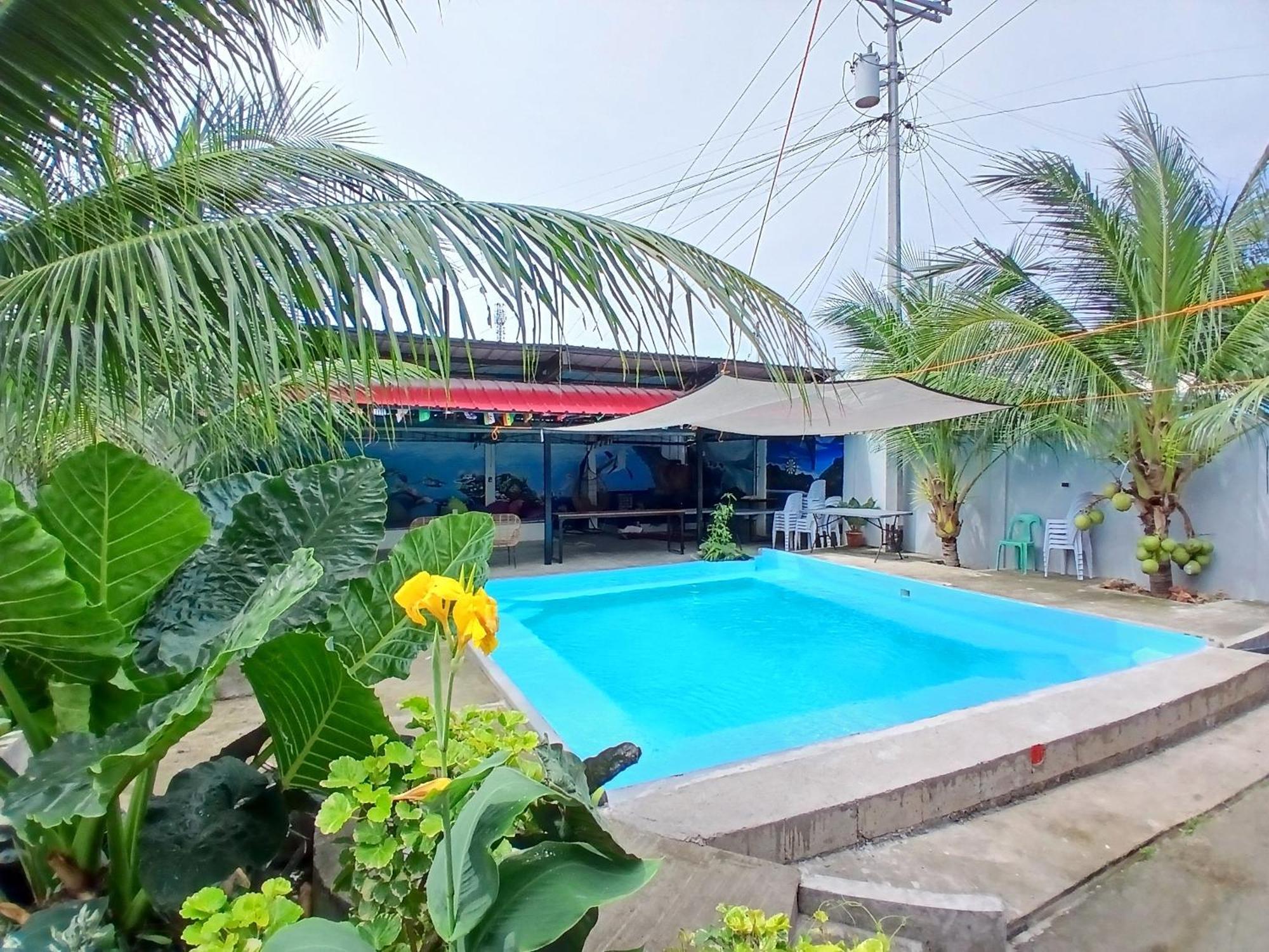 Ananas Guesthouse Moalboal Exterior photo