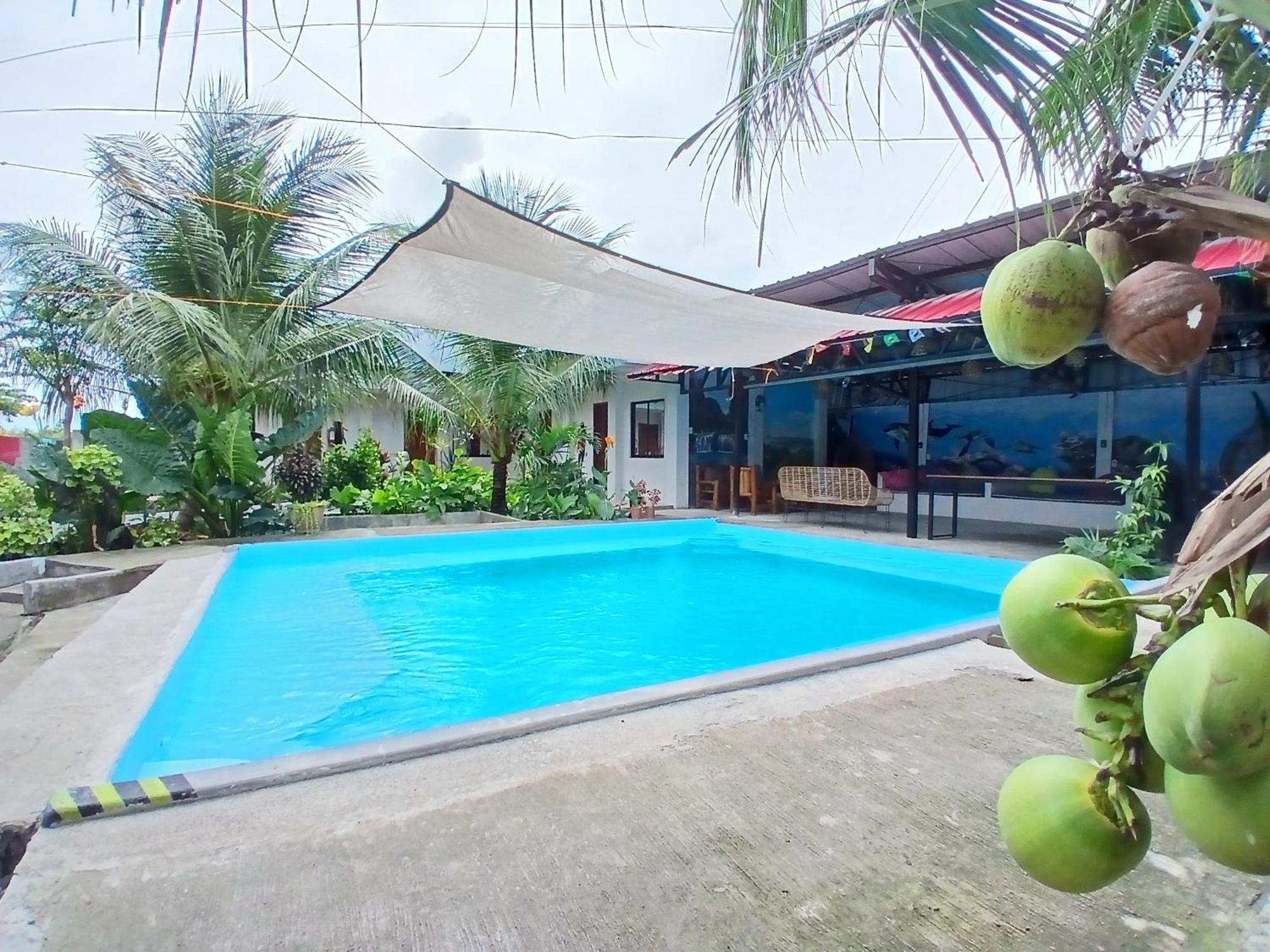 Ananas Guesthouse Moalboal Exterior photo