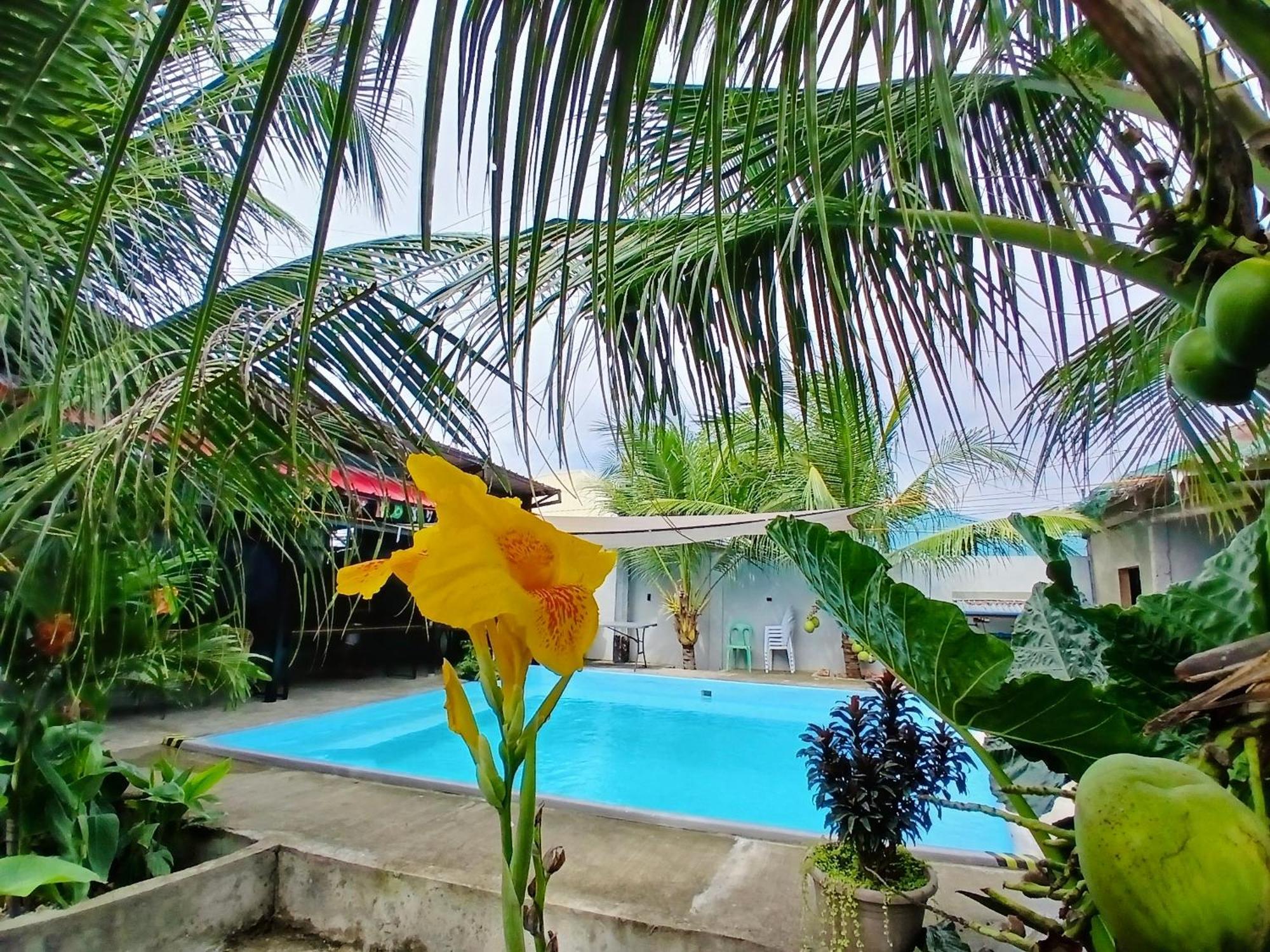 Ananas Guesthouse Moalboal Exterior photo