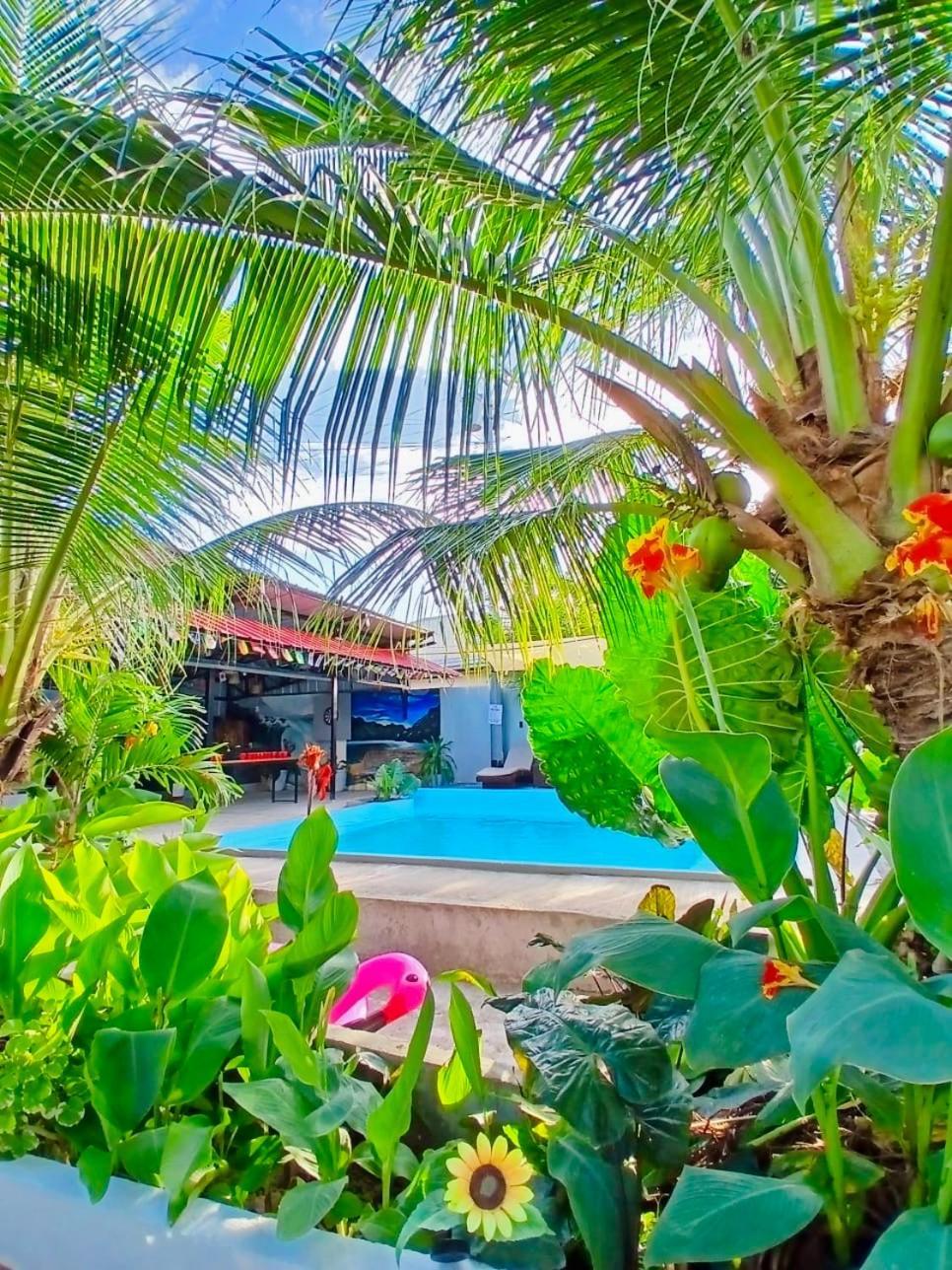 Ananas Guesthouse Moalboal Exterior photo