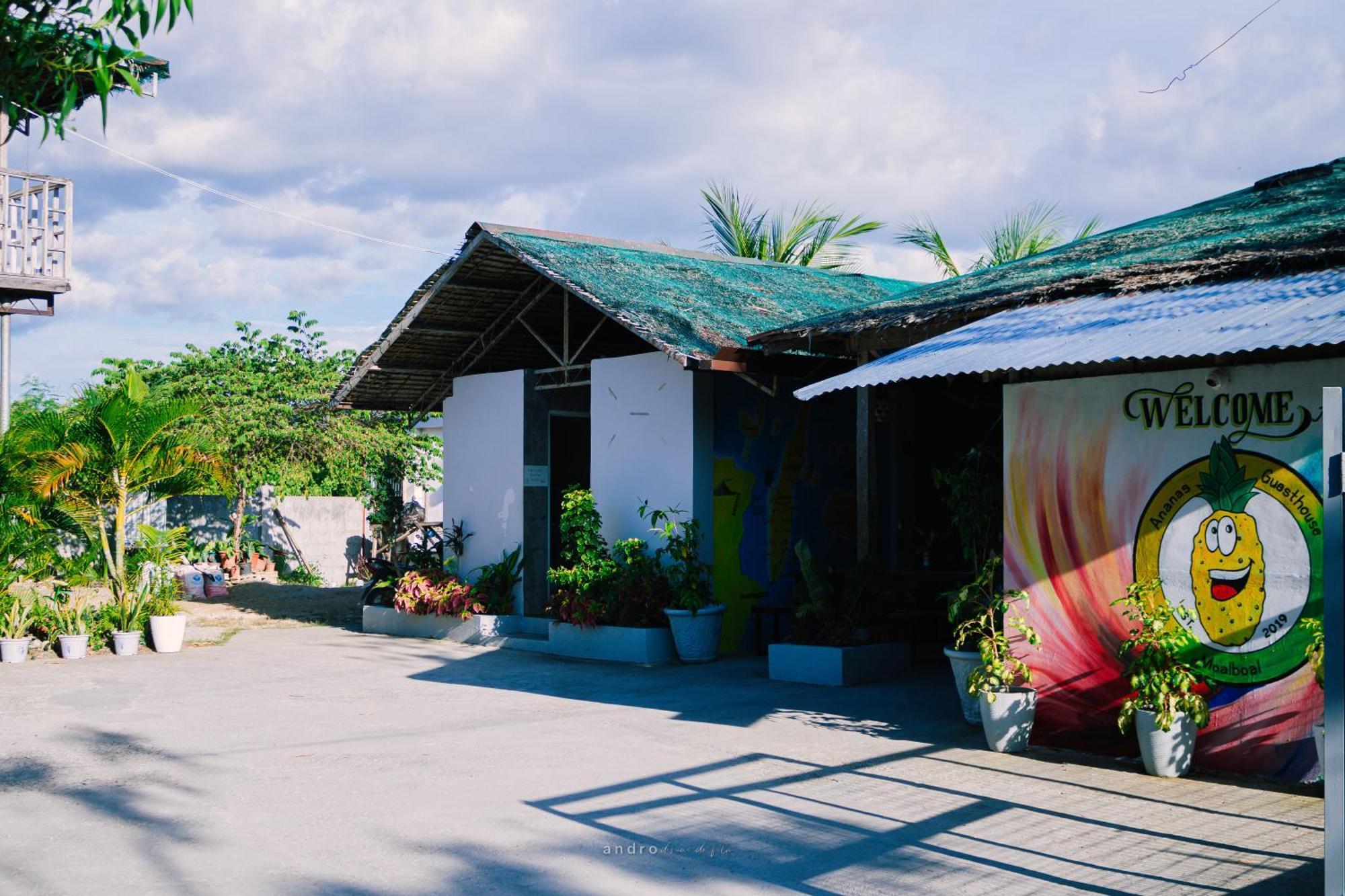 Ananas Guesthouse Moalboal Exterior photo